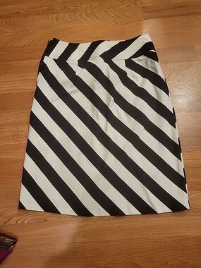 Black & White Diagonal Stripe Women's Skirt